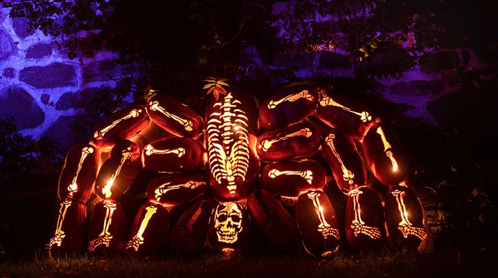 Este Halloween tan especial nos ha dejado con increíbles esculturas halloweenianas como esta gran araña.